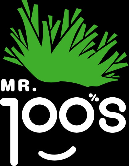 mr joos